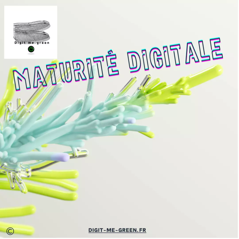 Maturité digitale Business Entreprise Marché Commerce Clientèle